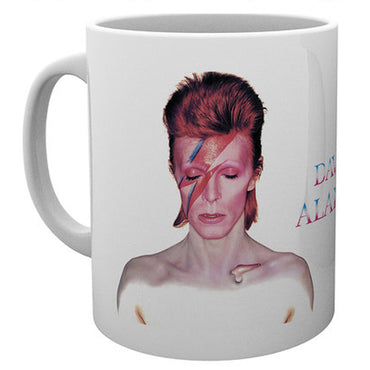 DAVID BOWIE - (生誕 80周年 ) - Aladdin Sane