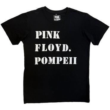PINK FLOYD - Pompeii Stencil / カーボンソフト加工