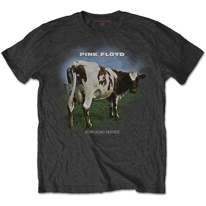 PINK FLOYD - ATOM HEART MOTHER FADE
