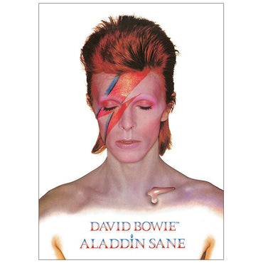 DAVID BOWIE - (追悼 10年 ) - ALADDIN SANE