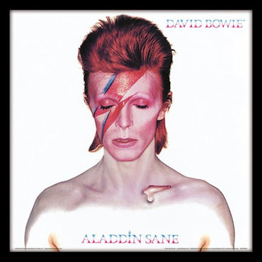 DAVID BOWIE - (追悼 10年 ) - ALADDIN SANE (アルバム・シリーズ額)