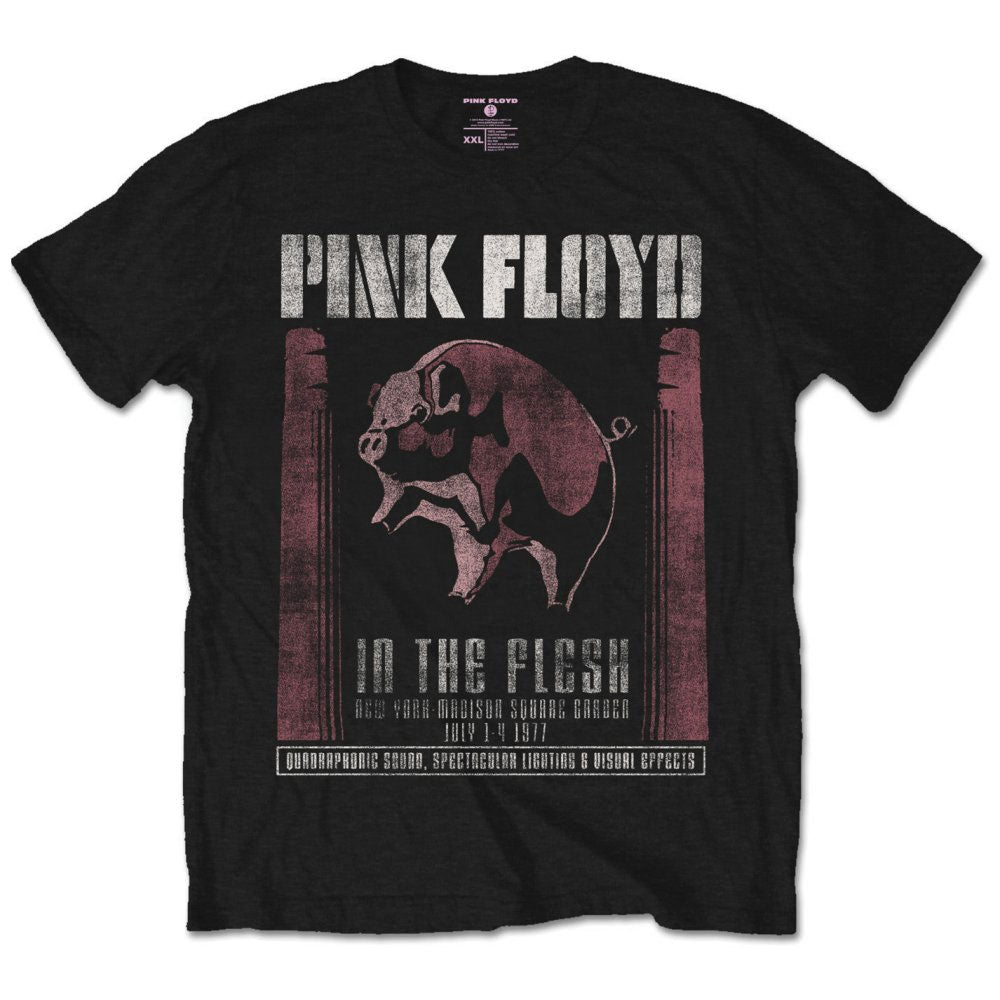 PINK FLOYD - IN THE FLESH