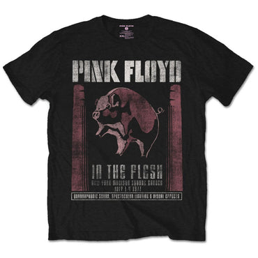 PINK FLOYD - IN THE FLESH