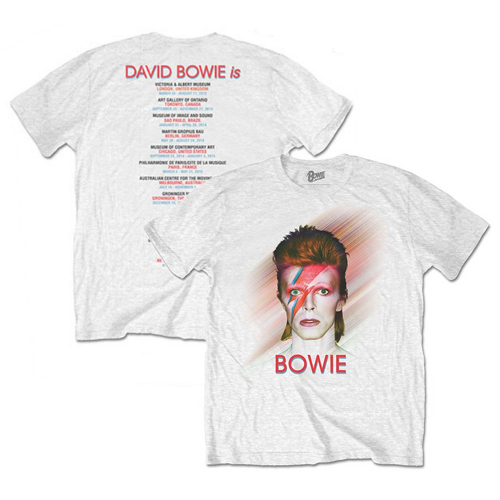 DAVID BOWIE - (追悼 10年 ) - Bowie Is / バックプリントあり