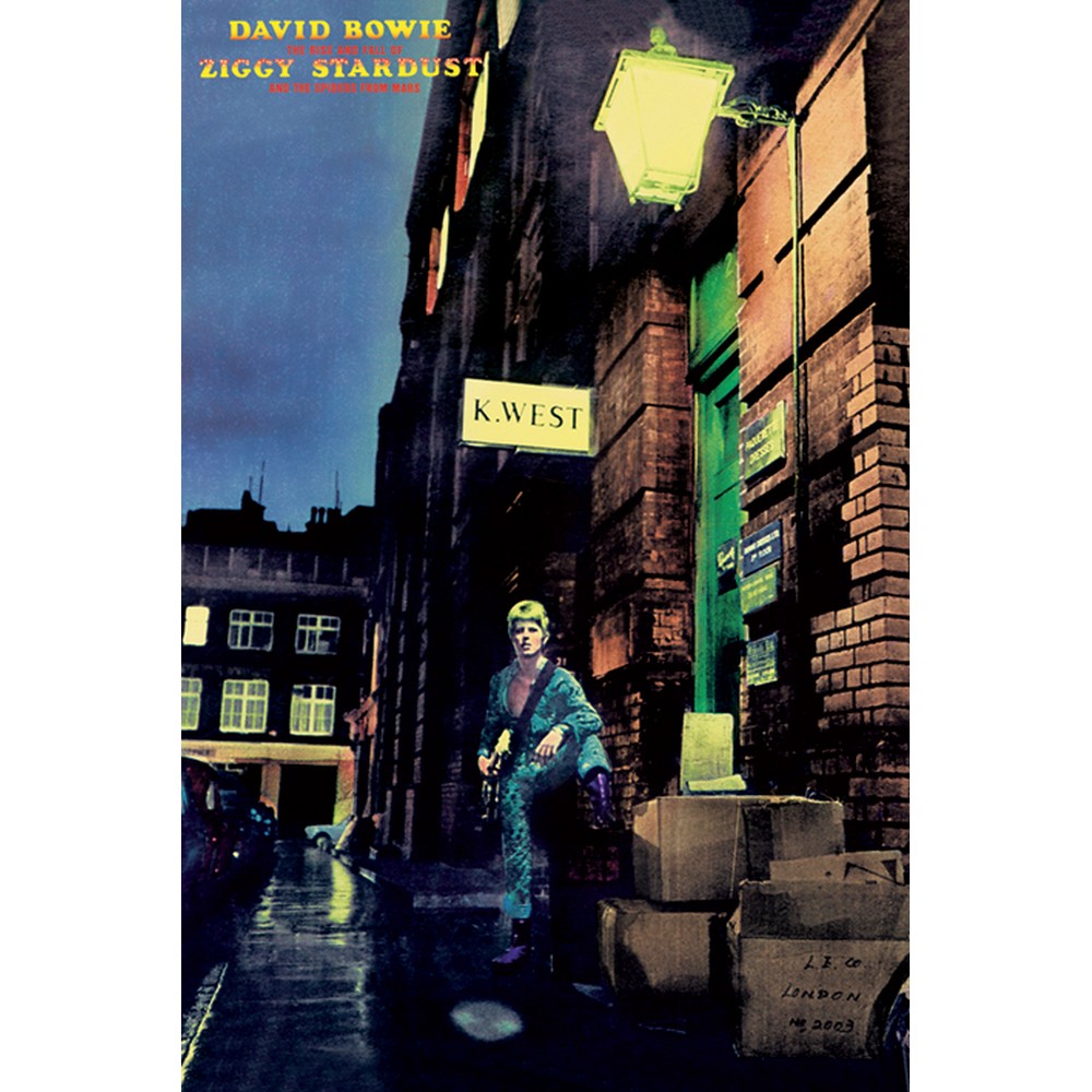 DAVID BOWIE - (追悼 10年 ) - Ziggy Stardust