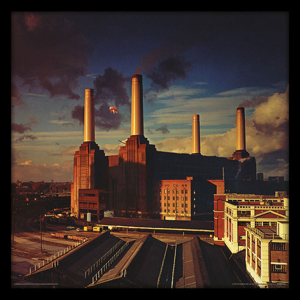 PINK FLOYD - Animals