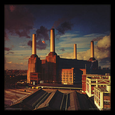 PINK FLOYD - Animals