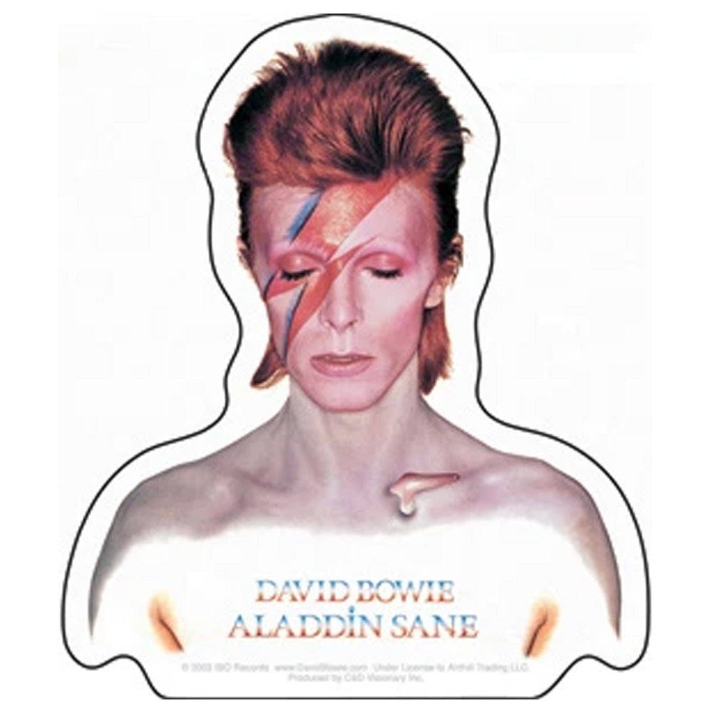 DAVID BOWIE - (追悼 10年 ) - Aladdin Sane