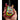 GEORGE HARRISON - Fender Strat Rocky Design / Fab Four