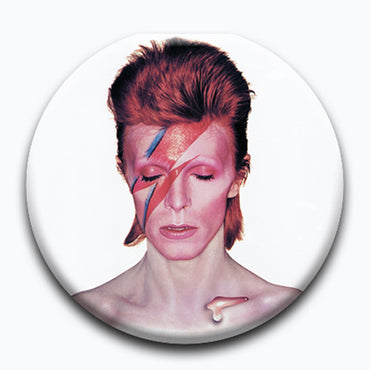 DAVID BOWIE - (追悼 10年 ) - ALADIN SANE