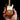 FENDER - (設立 80周年 ) - Telecaster