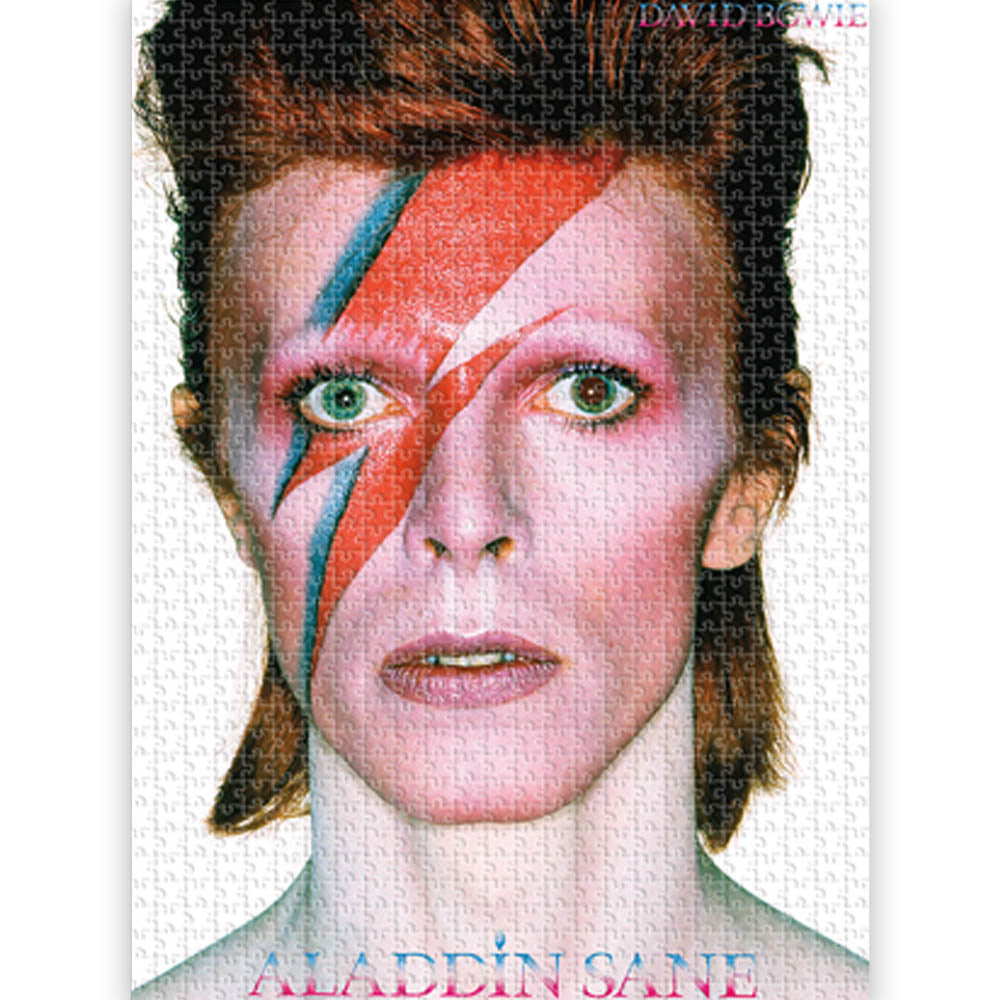 DAVID BOWIE デヴィッドボウイ (追悼 10年 ) - ALADDINE / 500ピース / ジグソーパズル