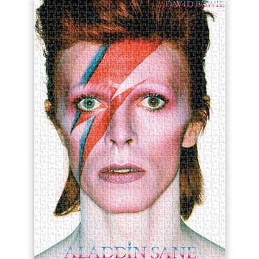 DAVID BOWIE デヴィッドボウイ (追悼 10年 ) - ALADDINE / 500ピース / ジグソーパズル
