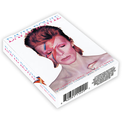 DAVID BOWIE デヴィッドボウイ (追悼 10年 ) - PLAYING CARDS / トランプ