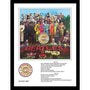 THE BEATLES - (ABBEY ROAD 55周年 ) - Sgt Pepper