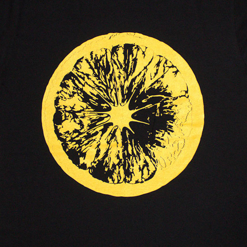 STONE ROSES ストーンローゼズ (マニ 追悼 ) - Tour 2016 / バックプリントあり / Tシャツ / メンズ