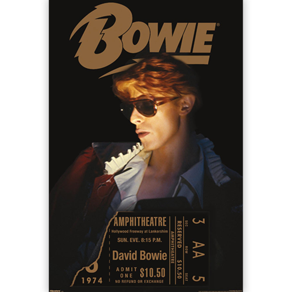 DAVID BOWIE - (追悼 10年 ) - Diamond Dogs LA Tour 1974
