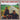 THE CLASH - Combat Rock
