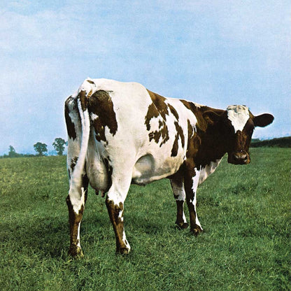 PINK FLOYD ピンクフロイド - ATOM HEART MOTHER / 500ピース / ジグソーパズル