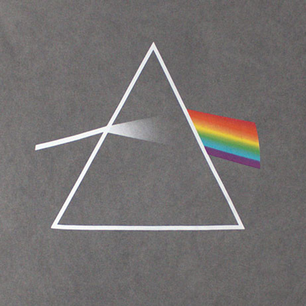 PINK FLOYD ピンクフロイド - Dark Side of the Moon Album / Stone Wash / Tシャツ / メンズ