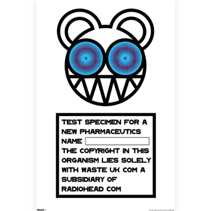 RADIOHEAD - (結成 35周年 ) - Blue Bear Specimen